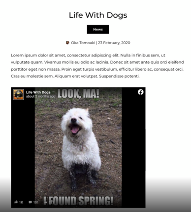 Screenshot 2021-01-27 at 17.35.54