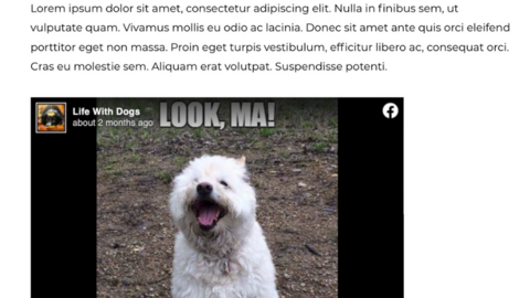 Screenshot 2021-01-27 at 17.35.54