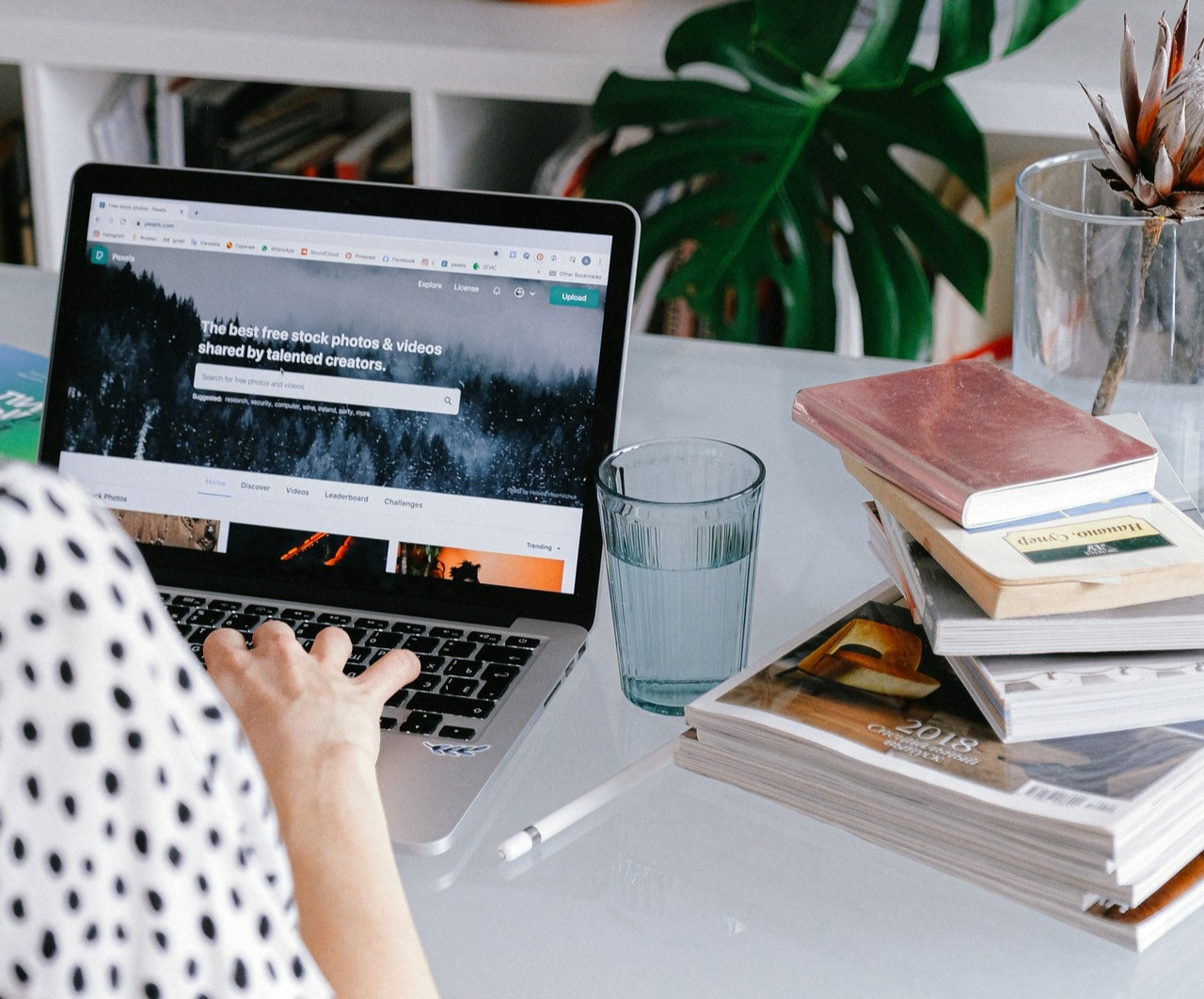 pexels banco de imágenes