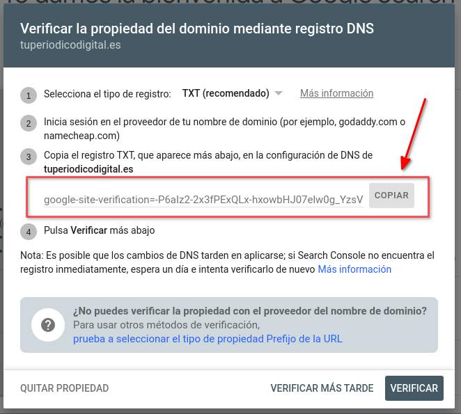 Copia el registro TXT